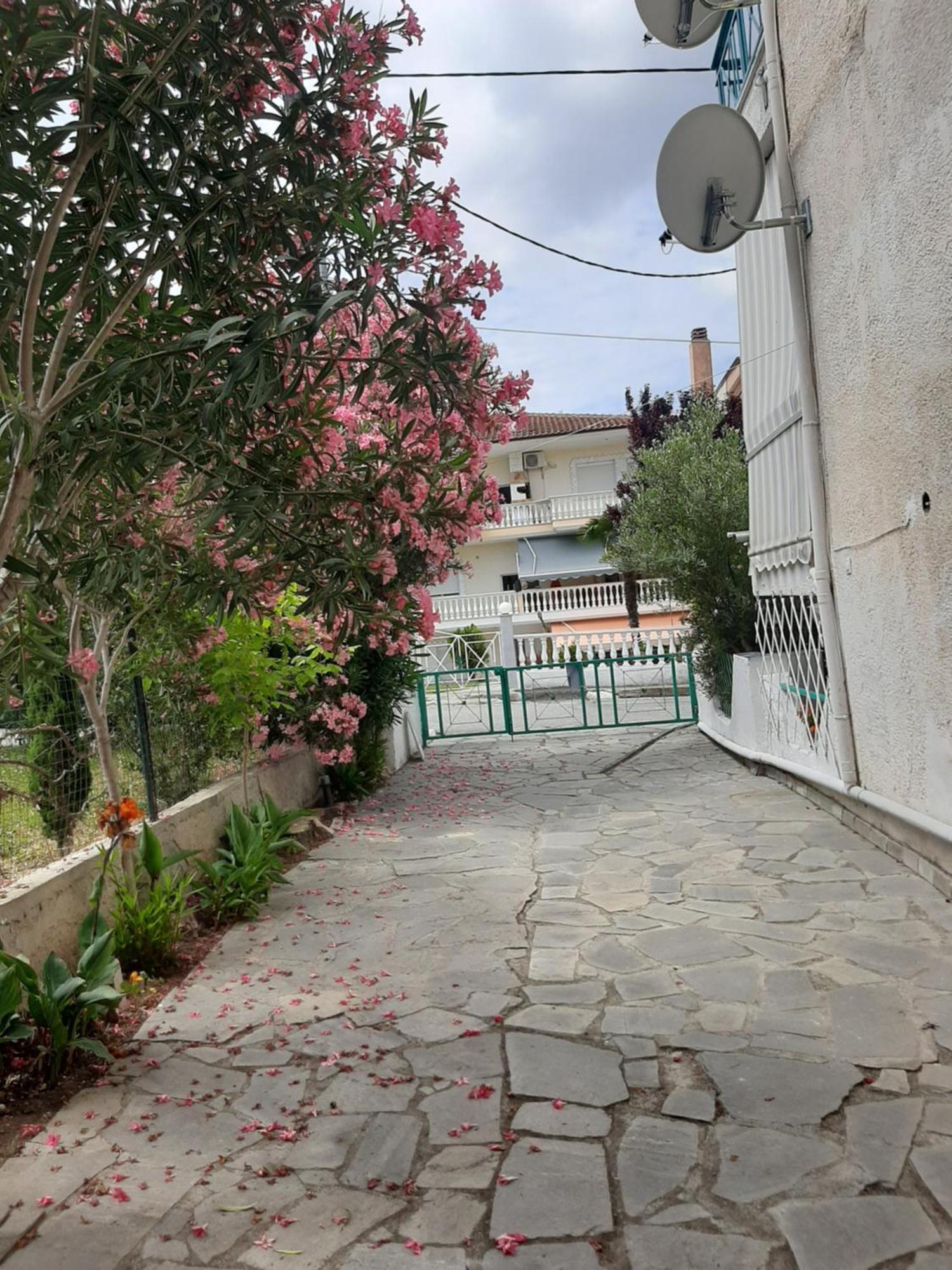 Kallithea Marely Cosy Houseアパートメント エクステリア 写真